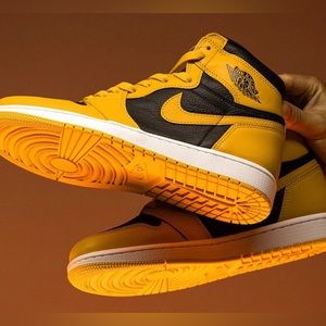 Air Jordan 1 Retro High OG Pollen